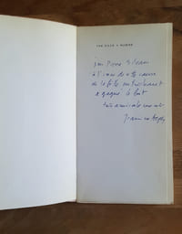 Une Fille à marier, roman