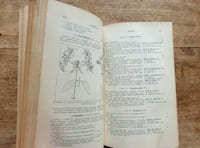 Flore des environs de Paris (Seine - Seine-et-Oise, Oise, Seine-et-Marne, Loiret, Eure-et-Loir) contenant La Description de toutes les espèce indigènes disposées en tableaux analytiques et illustrée de 2165 figures