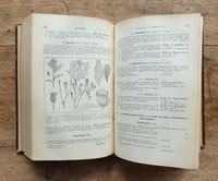 Flore des environs de Paris (Seine - Seine-et-Oise, Oise, Seine-et-Marne, Loiret, Eure-et-Loir) contenant La Description de toutes les espèce indigènes disposées en tableaux analytiques et illustrée de 2165 figures