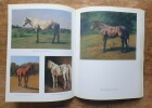 Rosa Bonheur 1822-1899. EXPOSITION