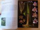 Encyclopédie des Plantes Libres - Toutes les Familles de Plantes à Fleurs Sauvages dEurope.. VIGNES, Pierre et Délia.  - MARCHAL, Nicole. - ABOUCAYA, ...