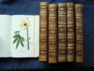 ANNALES DE FLORE ET DE POMONE. COLLECTIF .