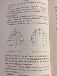 Le cheval et son élevage en Suisse. Spécialement destiné aux éleveurs de la Suisse Romande, aux agriculteurs, à tous les propriétaires & amateurs de ...
