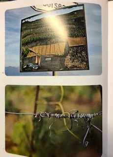 MERVEILLEUX LAVAUX. Collectif d'auteurs divers