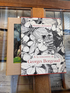 A la rencontre de Georges Borgeaud. Maurice Zermatten