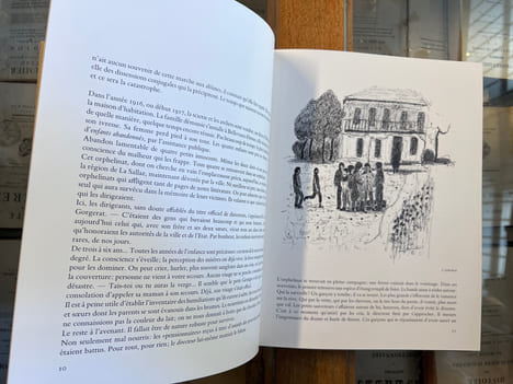 A la rencontre de Georges Borgeaud. Maurice Zermatten