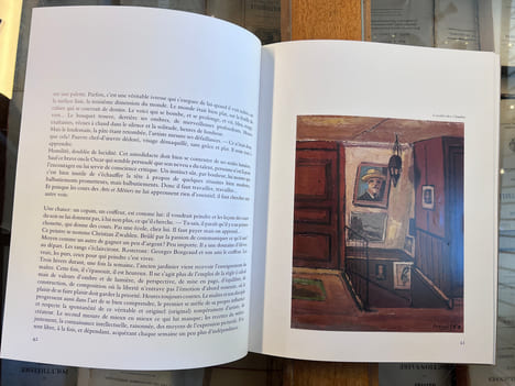 A la rencontre de Georges Borgeaud. Maurice Zermatten