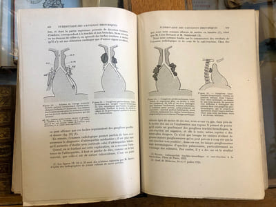 Clinique des maladies de la première enfance