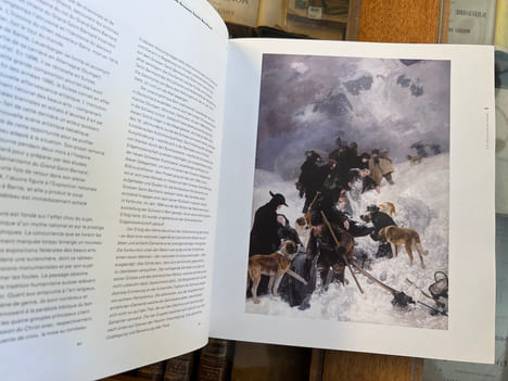 Montagne, je te hais - Montagne, je t'adore. Voyage au coeur des Alpes, du XVI siècle à nos jours.
Berg, ich hasse dich - Berg, ich liebe dich. Eine ...