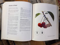 100 variétés de fruits