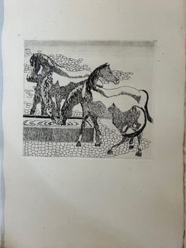 Chevaux et canons
XVII Eaux Fortes originales de J.F. Liengme. J.F. Liengme (illustrations) J.F. Piguet (textes)