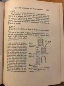 MANUEL PRATIQUE DE VINIFICATION ET DE CONSERVATION DES VINS