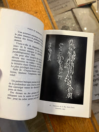 Métamorphose de l'Artiste