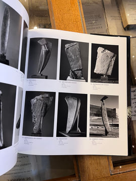 Dana : Sculptures. Charles Juliet, David Macey