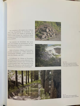 Les carrières d'Arvel
Une société centenaire, 1905-2005. Michèle Grote