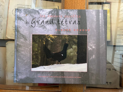 LES AMOURS SECRÈTES DU GRAND TÉTRAS