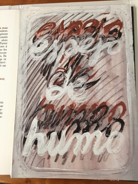 Miroir de fumée pour Juan Martinez / Espejo de humo para Juan Martinez.. Carlos Fuentes