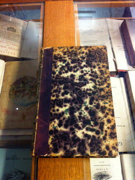LETTRES SUR L'HISTOIRE DE FRANCE. AUGUSTIN THIERRY