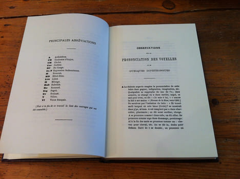GLOSSAIRE ANGEVIN ÉTYMOLOGIQUE COMPARÉ AVEC DIFFÉRENTS DIALECTES . CHARLES MÉNIÈRE