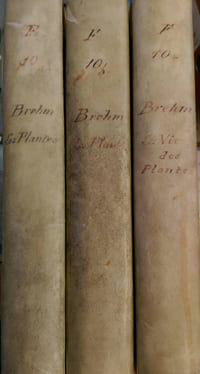 Merveilles de la nature: les plantes en 3 volume (Complet)
