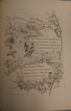 Ninette. E. De Pressensé