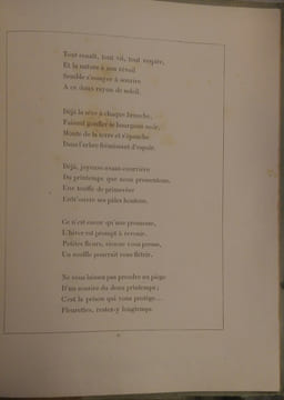Ninette. E. De Pressensé