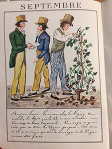 LE VIN DE NOS VIGNES - Le livre de la vigne et du vin vaudois