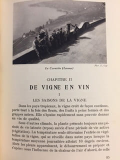 LE VIN DE NOS VIGNES - Le livre de la vigne et du vin vaudois. Collectif composé de MM.
Chuard; Faes; Benvegnin; Piguet; Mlle Porchet.
MM. ...