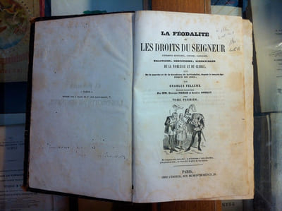 La féodalité ou les droits du seigneur événements mystérieux, lugubres, scandaleux, exactions, despotisme, libertinage de la noblesse et du clergé suivis de la marche et de la décadence de la féodalité, depuis le moyen âge jusqu'à nos jours.