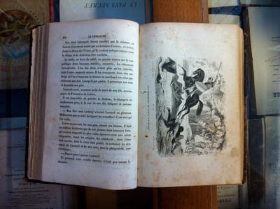 La féodalité ou les droits du seigneur événements mystérieux, lugubres, scandaleux, exactions, despotisme, libertinage de la noblesse et du clergé suivis de la marche et de la décadence de la féodalité, depuis le moyen âge jusqu'à nos jours.