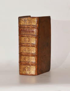 LEXICON HEBRAICUM & CHALDAICUM complectens omnes voces, tam primas quam derivatas, quae in Sacris Bibliis, Hebraeâ, & ex parte Chaldaeâ linguâ scriptis, extant : interpretationis fide, exemplorum biblicorum copiâ, Locorum plumimorum difficilium ex, [etc.]