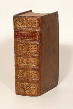LEXICON HEBRAICUM & CHALDAICUM complectens omnes voces, tam primas quam derivatas, quae in Sacris Bibliis, Hebraeâ, & ex parte Chaldaeâ linguâ ...