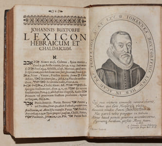 LEXICON HEBRAICUM & CHALDAICUM complectens omnes voces, tam primas quam derivatas, quae in Sacris Bibliis, Hebraeâ, & ex parte Chaldaeâ linguâ scriptis, extant : interpretationis fide, exemplorum biblicorum copiâ, Locorum plumimorum difficilium ex, [etc.]