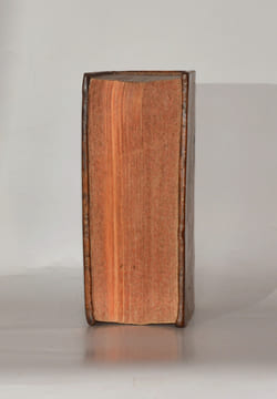 LEXICON HEBRAICUM & CHALDAICUM complectens omnes voces, tam primas quam derivatas, quae in Sacris Bibliis, Hebraeâ, & ex parte Chaldaeâ linguâ ...
