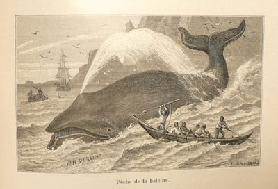 VOYAGES DANS LE NORD DE L'EUROPE, NORWEGE [sic] ET LAPONIE (1871-1873).