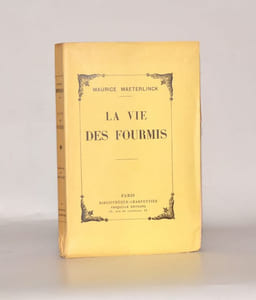 LA VIE DES FOURMIS.