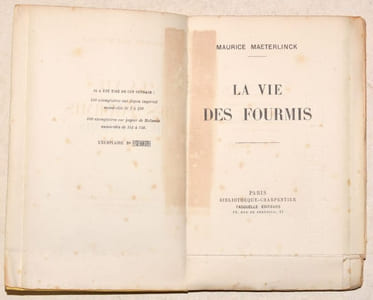 LA VIE DES FOURMIS.