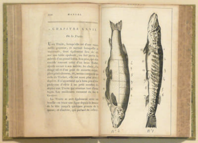 MANUEL DES AMPHYTRIONS ; contenant un Traité de la Dissection des viandes à table, la Nomenclature des Menus les plus nouveaux pour chaque saison, et des Elémens de Politesse gourmande. Ouvrage indispensable à tous ceux qui sont jaloux de faire bonne chère, et de la faire faire aux autres ; orné d'un grand nombre de Planches gravées en taille-douce. Par l'Auteur de l'Almanach des Gourmands.