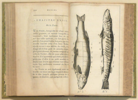 MANUEL DES AMPHYTRIONS ; contenant un Traité de la Dissection des viandes à table, la Nomenclature des Menus les plus nouveaux pour chaque saison, et ...