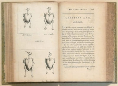 MANUEL DES AMPHYTRIONS ; contenant un Traité de la Dissection des viandes à table, la Nomenclature des Menus les plus nouveaux pour chaque saison, et des Elémens de Politesse gourmande. Ouvrage indispensable à tous ceux qui sont jaloux de faire bonne chère, et de la faire faire aux autres ; orné d'un grand nombre de Planches gravées en taille-douce. Par l'Auteur de l'Almanach des Gourmands.