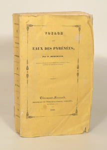 VOYAGE AUX EAUX DES PYRÉNÉES.