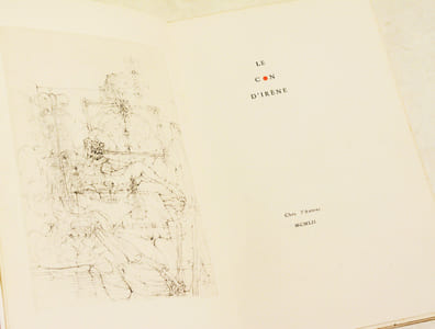 LE CON D'IRÈNE.