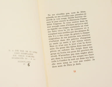 LE CON D'IRÈNE.