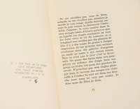 LE CON D'IRÈNE.