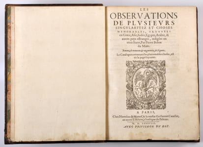 LES OBSERVATIONS DE PLUSIEURS SINGULARITEZ ET CHOSES MEMORABLES, trouvées en Grèce, Asie, Judée, Egypte, & autres pays estranges, rédigées en trois livres, par Pierre Belon du Mans. Reveuz de nouveau & augmentez de figures. Catalogue contenant les plus notables choses, est en la page suyvante.