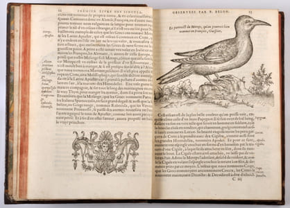 LES OBSERVATIONS DE PLUSIEURS SINGULARITEZ ET CHOSES MEMORABLES, trouvées en Grèce, Asie, Judée, Egypte, & autres pays estranges, rédigées en trois livres, par Pierre Belon du Mans. Reveuz de nouveau & augmentez de figures. Catalogue contenant les plus notables choses, est en la page suyvante.