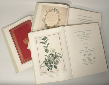 THE MAGNIFICENT BOTANICAL LIBRARY OF THE STIFTUNG FUR BOTANIK VADUZ LIECHTENSTEIN collected by the late Arpad PLESCH. [3 VOLUMES].
