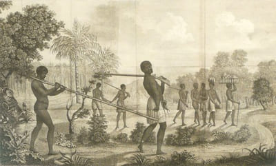 VOYAGE A LA CÔTE OCCIDENTALE D'AFRIQUE, fait dans les années 1786 et 1787 ; contenant la description des moeurs, usages, lois, gouvernement et commerce des Etats du Congo, fréquentés par les Européens, et un précis de la traite des Noirs, ainsi qu'elle avait lieu avant la Révolution française ; suivi d'un Voyage fait au cap de Bonne-Espérance, contenant la description militaire de cette colonie. [2 volumes].