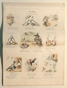MÜNCHENER BILDERBOGEN. N°48.