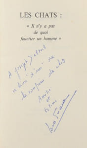 LES CHATS : « il n'y a pas de quoi fouetter un homme ».